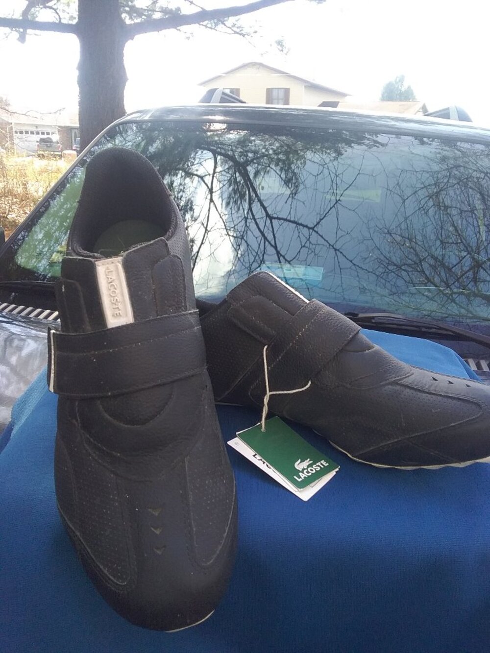 Lacoste sport shoes